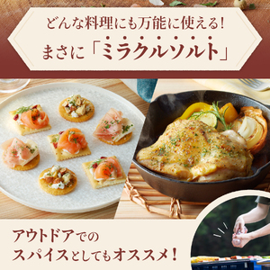 調味料 モリンガガーリック＆ペッパーソルトとモリンガペッパー＆ソルト　ミル2本セット ペッパー塩
