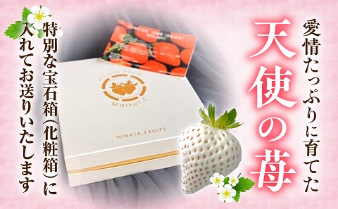 《2026年発送》【数量・期間限定】宮崎完熟白9PREMIUMギフト 完熟 甘い 白苺 いちご イチゴ 苺 果物 フルーツ_M279-007