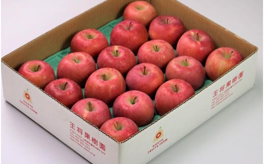 08-03-084　りんご(サンふじ)5kg