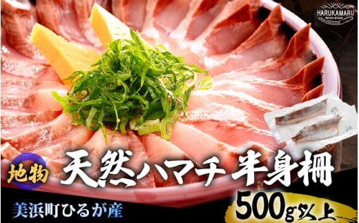 【先行予約】天然！地物！ひるがのハマチ 柵2本【合計500g以上】【2025年11月以降順次発送予定】はまち ハマチ ぶり ブリ 鰤 出世魚 しゃぶしゃぶ 照り焼き 塩焼き 煮付け 生食 刺身 海鮮丼 日向 福井 美浜 海鮮 冷凍 旬 プレゼント [m36-a029]