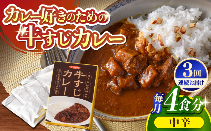 
【全3回定期便】【着日指定 可能】【とろっとろになるまで煮込んだ】牛すじカレー 4食セット（中辛） 平戸市 / カレー工房 NVfoods [KAB264]
