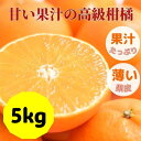 【ふるさと納税】愛果28号 バラ詰め 5kg 先行予約 12月発送 愛媛 数量限定 愛媛県産 人気 柑橘 伊予市｜C57