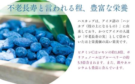 【9月以降順次発送】北海道厚真町産 冷凍ハスカップ 3種食べ比べセット 計1kg　【とまこまい広域農業協同組合】　ハスカップ ハスカップ 特産品 特産品 R7年産  北海道 [AXAB051]