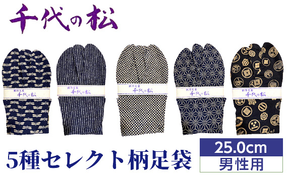 
            【男性用：25.0cm】5種セレクト柄足袋（千代の松） ／ たび タビ 創作足袋 ファッション 和小物 埼玉県 特産品 No.364
          
