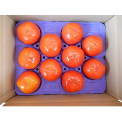 ふるさと納税 かすみがうら市 柿の中の柿、最も古くから愛されている美味しい富有柿　約3.5kg(10〜14個) |  | 03