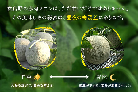 【2026年発送】【秀品】富良野メロン2玉（約2kg×2玉）【JAふらの】【AC-004】