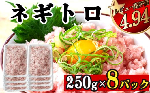 ネギトロ 2kg ( 250g×8パック ) | まぐろ 鮪 ネギトロ ねぎとろ まぐろたたき まぐろのたたき マグロたたき ネギとろ ねぎトロ susaki 高知県須崎市