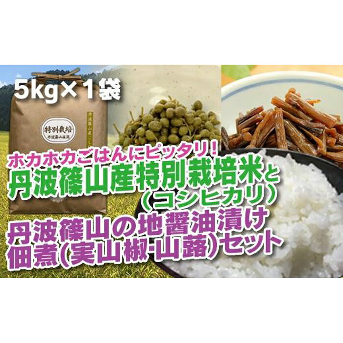 【ふるさと納税】【令和7年産 2025年9月以降順次発送】 丹波篠山の地醤油漬、佃煮セット　特別栽培米5kgと実山椒・山蕗 | 白米 100％単一原料米 産地直送米 贈答 おいしい お米 精米 コシヒカリ ブランド おこめ 健康 ギフト 内祝い 贈り物 送料無料 おすすめ 人気 口コミ