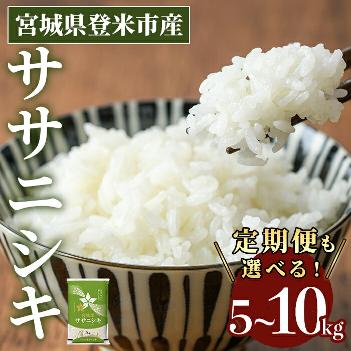 【ふるさと納税】≪令和7年産 新米≫ ササニシキ 精米 5～10kg ＜定期便も可！＞ 登米市産 お米 おこめ 米 コメ 白米 ささにしき ご飯 ごはん おにぎり お弁当 5kg 10kg 定期便 頒布会 【登米ライスサービス株式会社】tm149