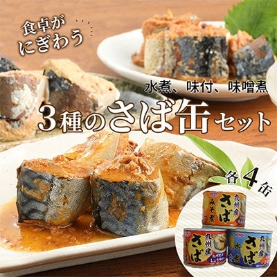【毎月定期便】さば缶セット(3種×各4缶)全3回【配送不可地域：離島】【4082380】