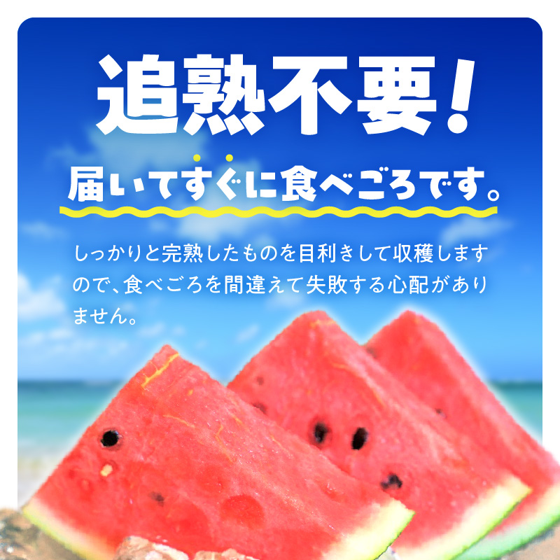【2026年発送】深く甘いコク感と強いシャリ感「羅皇ザスウィート」1玉 すいか 甘い すいか1玉 果物 フルーツ　H141-015
