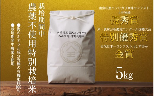 
                  【令和8年産新米予約】南魚沼食味コンクール4年連続優秀賞　栽培期間中農薬不使用特別栽培米5kg　南魚沼塩沢産コシヒカリ【銘柄米 ブランド米 精米 こしひかり コシヒカリ 魚沼産 新潟米】【2026年10月中旬から1ヶ月以内に順次発送予定】
                