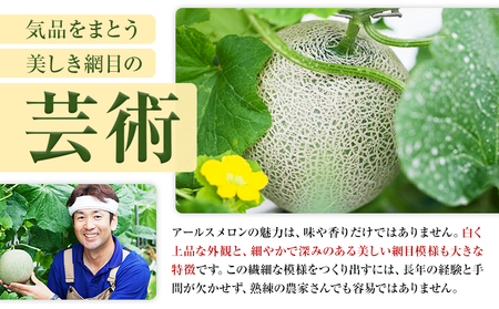 【2026年7月下旬より発送】 アールスメロン 2玉 2L以上 くまモン 箱入り メロン フルーツ 果物 くだもの 【メロンドーム】 