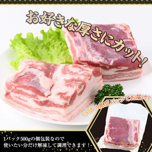 鹿児島県産 豚肉 バラ ブロック 小分け (計1.5kg・500g×3P)【株式会社羽根】A723