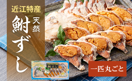 【1匹】鮒ずし 天然ニゴロブナ スライス 丸ごと 郷土料理 鮒ずし