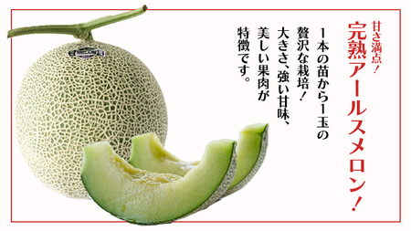 【 野菜ソムリエ 厳選 】 旬 の フルーツ定期便 ( フルーツトマト スタート ) 先行予約 [AF095ci]