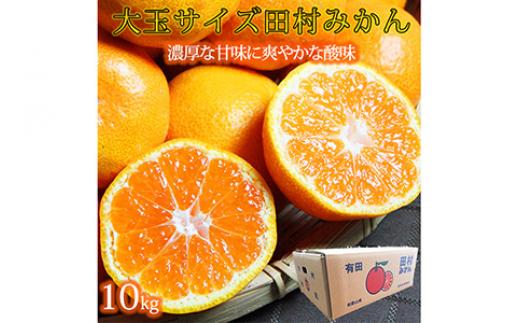 
            高級ブランド田村みかん　１０kg　大玉サイズ※2025年11月下旬〜2026年1月下旬頃に順次発送予定
          