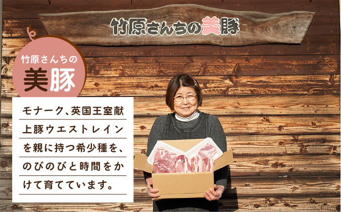 【ANA限定】竹原さんちの美豚 贅沢セット《糸島》【竹原さんちの美豚】 [AHK999]