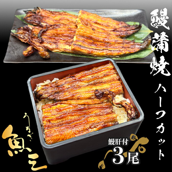【ふるさと納税】うなぎ 蒲焼き 3尾 ハーフカット タレ・肝付き 国産鰻 国産 うなぎ蒲焼 惣菜 おかず　ウナギ 鰻 蒲焼