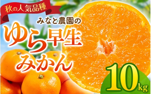 【数量限定】みなと農園のゆら早生みかん  約10kg 2S～Lサイズ混合 【2026年10月中旬頃〜順次発送】 みかん ミカン 蜜柑 温州みかん 温州ミカン 柑橘 フルーツ 果物 くだもの 早生 甘い