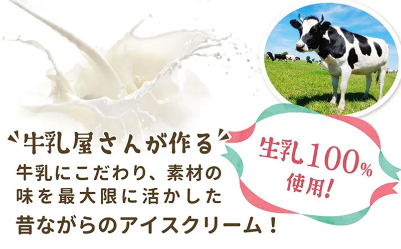 アイス もなか 4種 12個