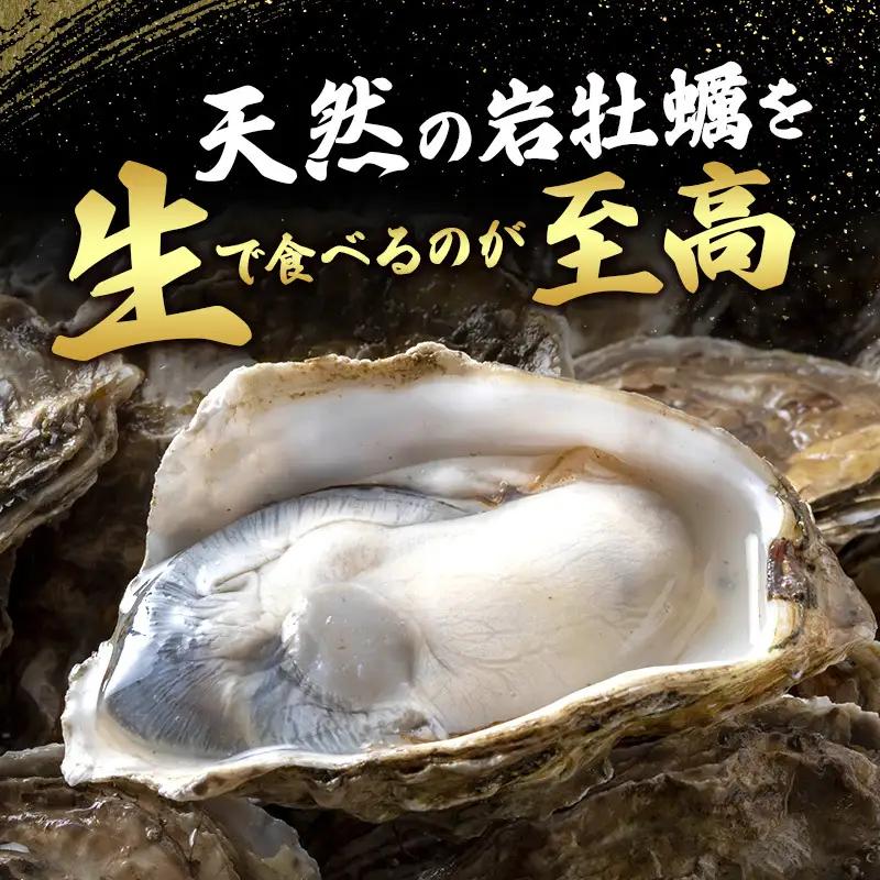 【先行予約 7月上旬～下旬発送予定】象潟産 天然岩牡蠣 10～15個 ナイフ無【牡蠣 夏牡蠣 かき 象潟 生食可 魚介類 海鮮　海産物 海の幸】　