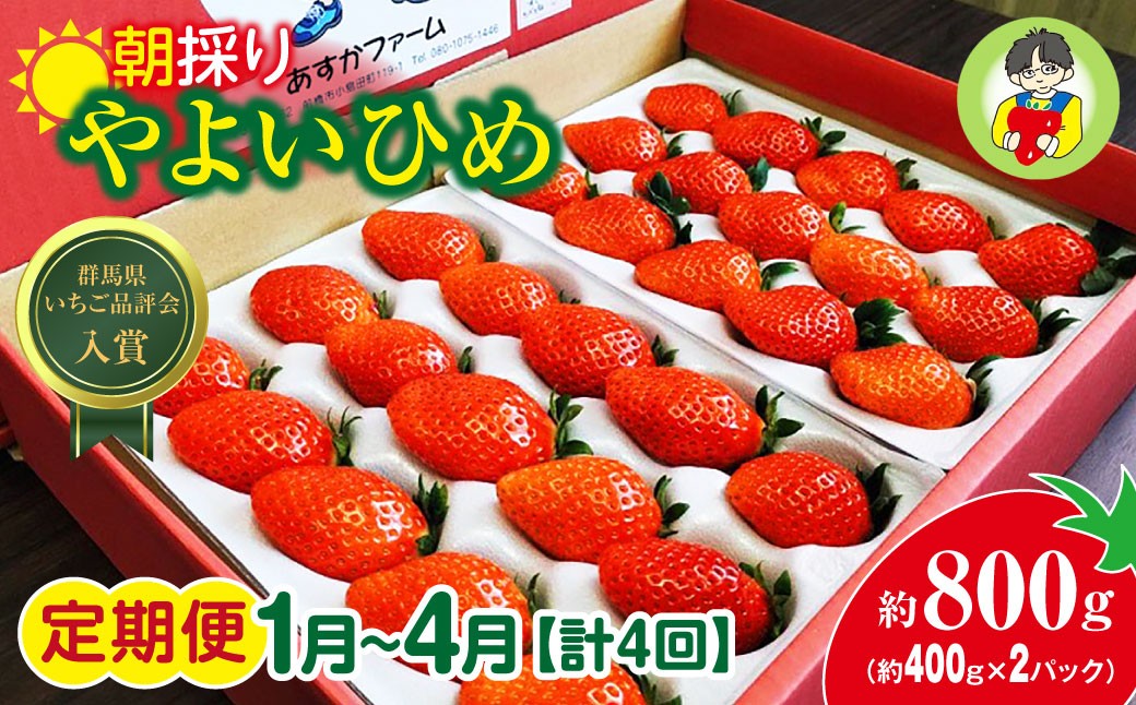 
            【2026年 先行予約】＜定期便1月～4月＞やよいひめ 400g × 2パック 800g 計4回 | コク 甘み 朝採れ やよいひめ 贈答用 新鮮 完熟 いちご 旬 苺 ストロベリー 産地直送 果汁 あまい 人気 高評価 美容 健康 旨味 高糖度 ごほうび 定期便 群馬県 前橋市
          