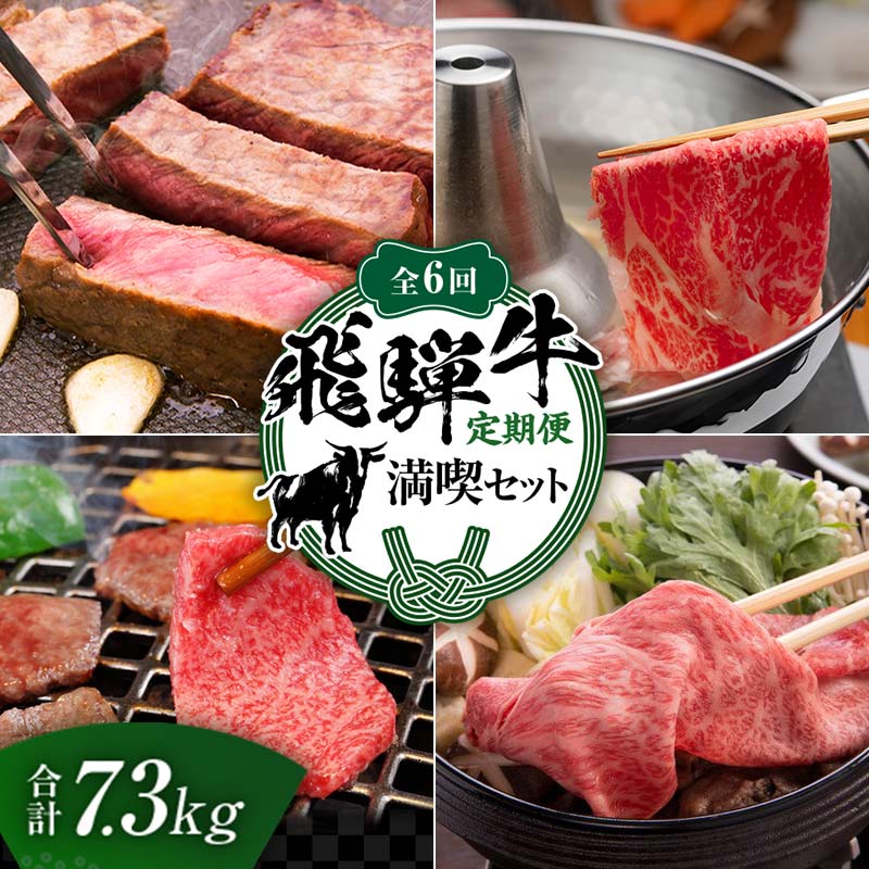【ふるさと納税】【定期便】飛騨牛 全6回 合計7.3kg 満喫セット ステーキ 焼肉 しゃぶしゃぶ すき焼き 牛肉 黒毛和牛 5等級 肉 岐阜県 坂祝町 さかほぎ F6M-062