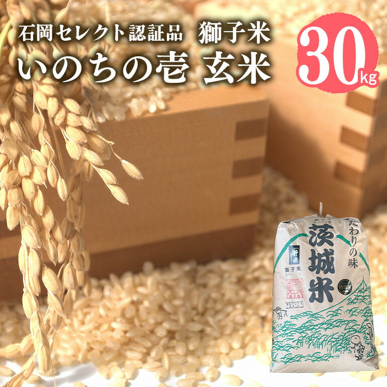 【ふるさと納税】【令和6年産】獅子米 いのちの壱 玄米 30kg 岡田ファーム コンテスト受賞米 お米 米 おこめ ブランド米 30キロ 国産 コメ こめ ご飯 茨城県産 茨城 産直 産地直送 農家直送 ごはん 家庭用 贈答用 お取り寄せ 送料無料 (G437)