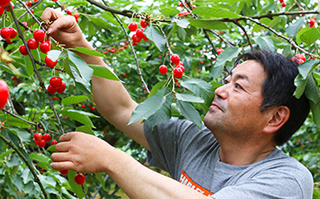 《先行予約》2025年 山形県産 特選ダイアナブライト 400g バラ詰 特秀3～4L F20A-034