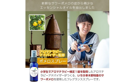 《数量限定》ルームフレグランス(合計3本・各30ml)サワーポメロ・サワーポメロブレンド・ポンカンのエッセンシャルオイル！高校生アロマテラピーアドバイザー監修！ギフトやご贈答にも ルシエルフュゼ【Le