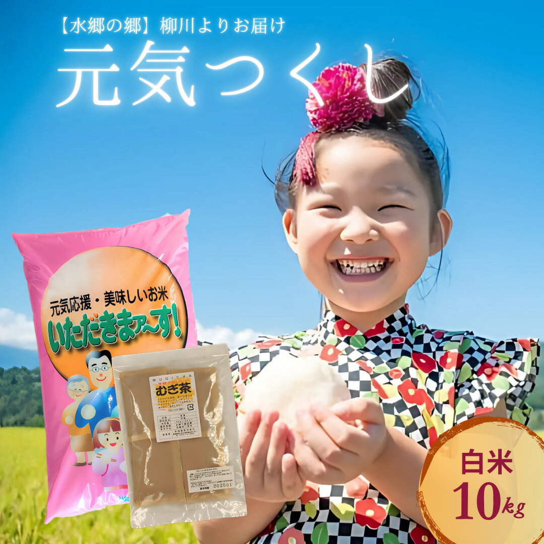 【ふるさと納税】柳川のお米 元気つくし 10kg 麦茶 16パック セット 白米 米 令和6年産 お米 九州産 精米 麦茶パック お茶 福岡県 柳川市 送料無料
