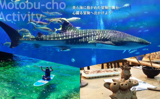 【旅行クーポン】美ら海・本部町 後から選べる旅行Webカタログ6万円分