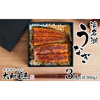 【ふるさと納税】うなぎ 冷蔵 【浜名湖うなぎ・国産うなぎ】浜名湖うなぎ蒲焼 120g×3尾 計360g 真空パック 土用の丑の日 ウナギ 鰻 蒲焼き 和食 魚料理 お酒のあて つまみ 手焼き 大和養魚 静岡県浜松市 ギフト
