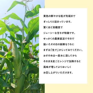 【令和7年発送】宮崎県産とうもろこし　大山さんちのスイートコーン「ゴールドラッシュ」4.5kg　【とうもろこし スイートコーン】[D07104]