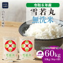 【ふるさと納税】＜令和6年産米＞ 大蔵村 雪若丸 ＜無洗米＞ 60kg 定期便（10kg×6回お届け）