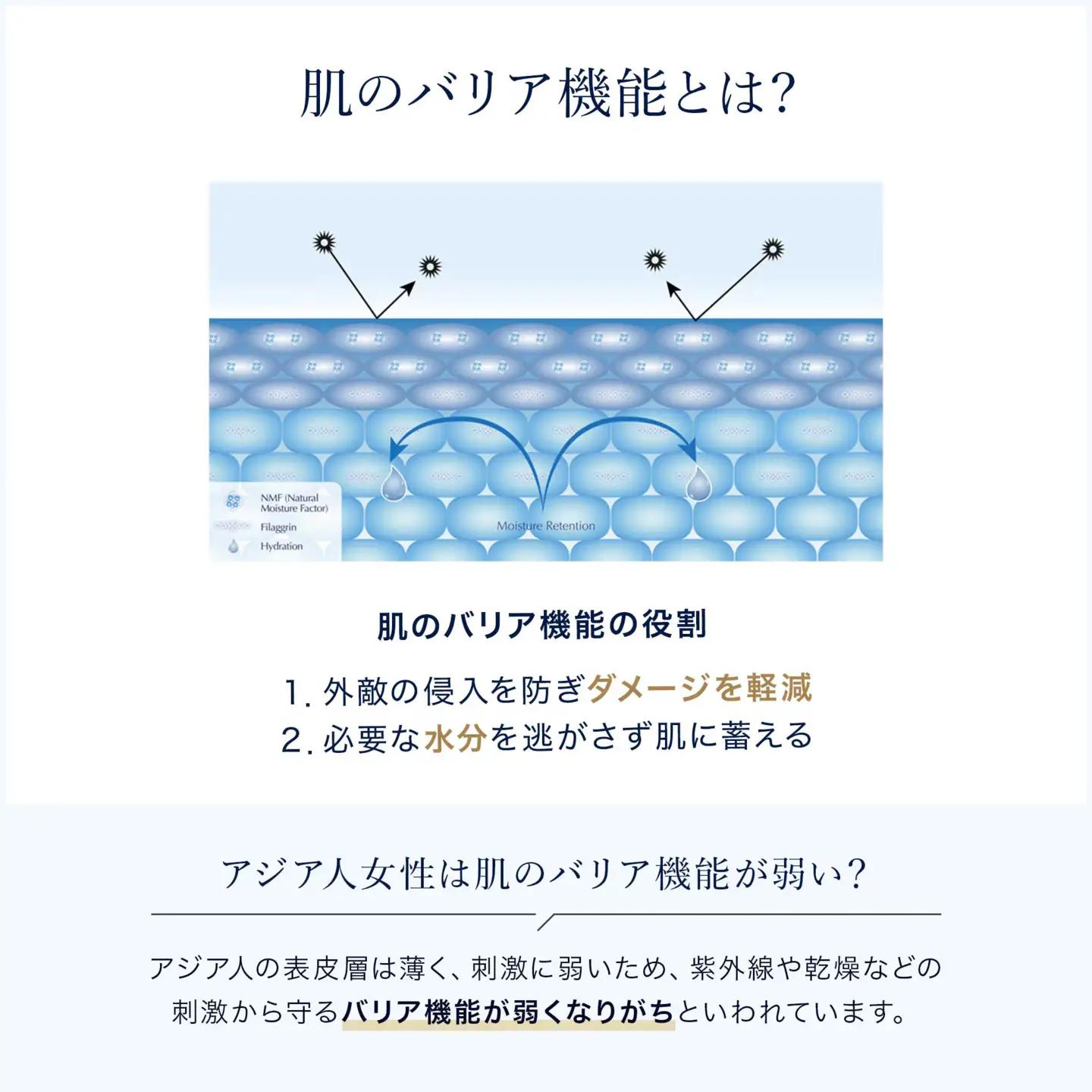 【ふるなび限定】【2026/8/26 募集再開】エスティ ローダー マイクロ エッセンス ローション BF 200mL 3個セット 【 化粧水 化粧品 】 FN-Limited-SP