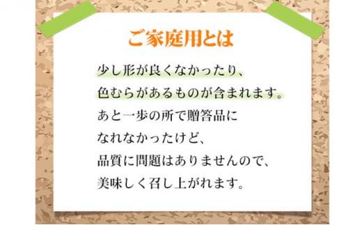 ぶどう 2024年 先行予約 ご家庭用 シャイン マスカット 晴王 約600g×1房 ブドウ 葡萄  岡山県産 国産 フルーツ 果物[No.5220-1474]