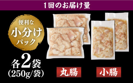 【全6回定期便】【塩だれ味】 九州産和牛 ホルモン 2種 計1kg（ 小腸 250g×2袋・ 丸腸 250g×2袋） 長与町/岩永ホルモン[EAX156] / ホルモン 小腸 ホルモン 丸腸 ホルモン