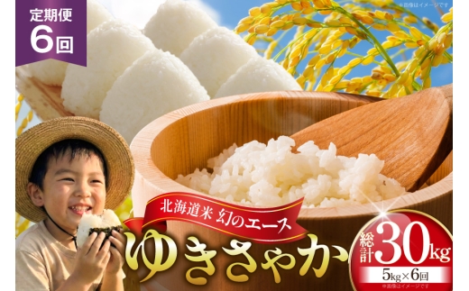 米 令和8年産 新米 ゆきさやか 5kg 6回 定期便 総計 30kg [笹田ファーム 北海道 剣淵町 14656465] お米 おこめ こめ コメ 定期配送 ご飯 ごはん 白米 精米 令和8年
