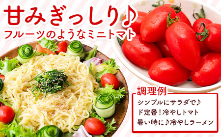 ミニトマト アイコ 約3kg ますだふぁーむ《7月上旬-11月末頃出荷》熊本県 南阿蘇村 アイコトマト 野菜 旬 夏野菜 トマト