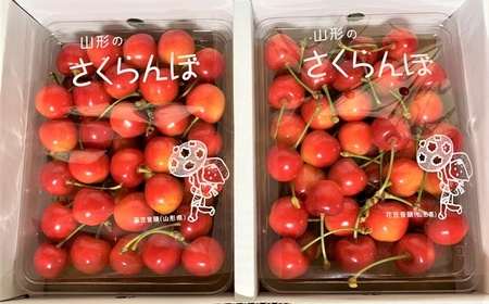 さくらんぼ（佐藤錦）７００ｇ　Ｌサイズ　0066-2501