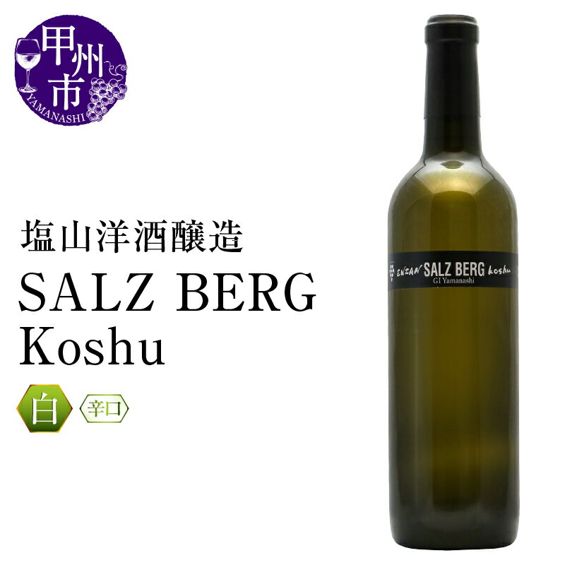 【ふるさと納税】 ワイン 白 720ml 1本 辛口 ザルツベルク甲州 甲州 塩山洋酒醸造 白ワイン パーティー 母の日 父の日 記念日 ギフト 山梨県 甲州市 (RC) 【B-642】