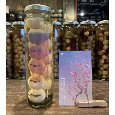 ふるさと納税 水戸市 【水戸市有料観光土産品】Shamrock うずらのたまごのピクルス 梅香 3本