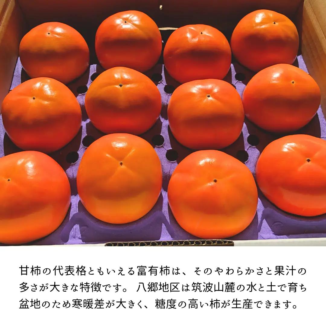 富有柿 2L 14玉 (茨城県共通返礼品 石岡市) 果物 くだもの フルーツ 柿 かき 2026年11月中旬以降発送 [DC003sa]