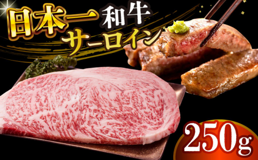 【A4～A5】長崎和牛サーロインステーキ　250g（250g×1枚）【株式会社 MEAT PLUS】 [DBS013]