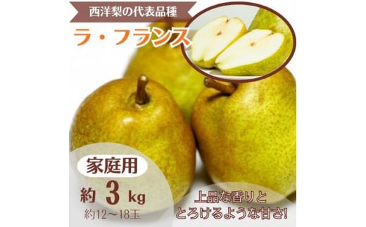 洋梨 ラ・フランス 約3kg 家庭用 (12玉～18玉)【1495964】