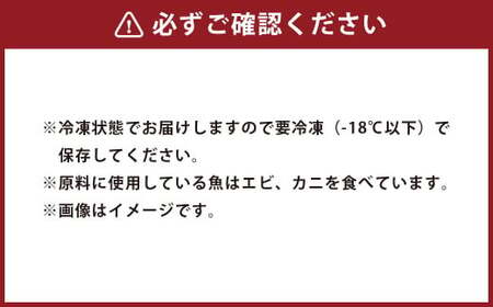 はつ天 食べ比べ セット（いか3個：ピリ辛ミックス3個） 天ぷら はつ いか ピリ辛 魚肉 おかず 練り物 福岡県 岡垣町