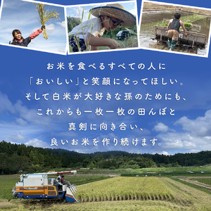 【3ヶ月定期便】コシヒカリ5kg 無洗米 富山県氷見産 ＜2025年10月以降発送＞ 富山県 氷見市 米 コシヒカリ 定期便