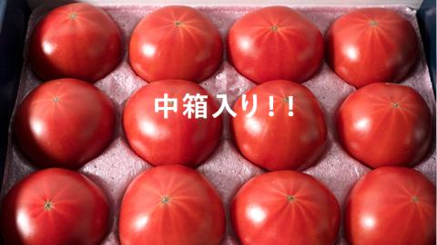 【 母の日 メッセージカード 付】≪5月6日～12日お届け≫スーパー フルーツトマト 中箱 約1.2kg×1箱 糖度9度以上 トマト とまと 野菜 [BC067sa]